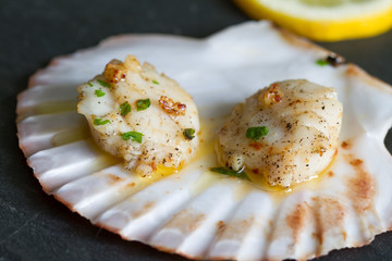Seared scallops with garlic and parsley on shell closeup
