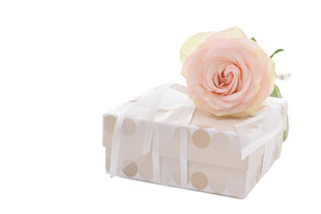 Rose and gift