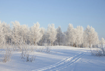 Fototapeta na wymiar Winter landscape with snow covered trees