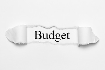 Budget on white torn paper