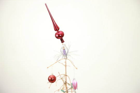 Skeleton of christmas tree. Сrumbling  spruce