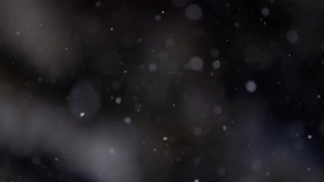 Close up view of snow falling in front of trees out of focus
