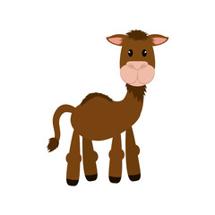 Camel animal cartoon icon vector illustration graphic design