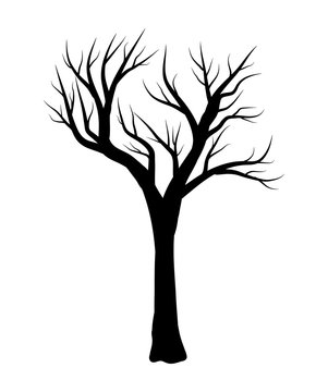 bare tree vector symbol icon design.