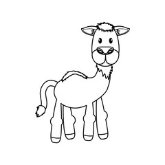 Camel animal cartoon icon vector illustration graphic design