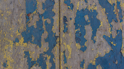 Photos in a row on the wooden surface.