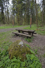 rastplatz im wald