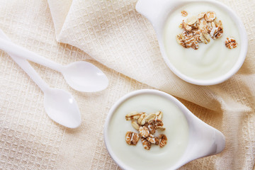 Close up natural creamy white yogurt in cup
