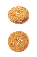 Peanut butter homemade cookie isolated