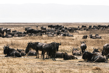 Krater Ngoro-ngoro © Andrzej