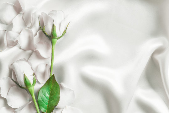 a bouquet sweet white roses  petal on  soft white silk fabric ,
