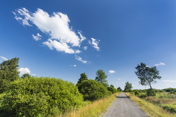 Road Through Moor Landscape In The High Fens, Belgium