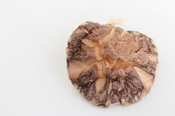 干し椎茸
