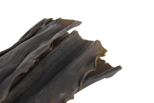 112 Best 乾燥昆布 Images Stock Photos Vectors Adobe Stock
