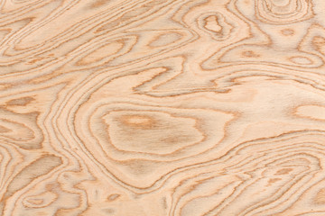 Olive burl design texture. Natural background closeup.