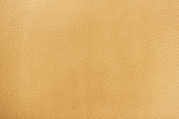 Texture of genuine leather close-up, cowhide. For your background, backdrop, with copy space