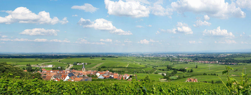 Rheinebene - Frankweiler und Landau Pfalz