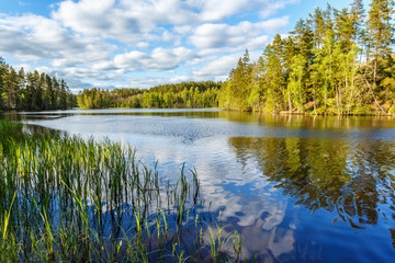 Fototapeta na wymiar Idyllic lake at the forest in the summer