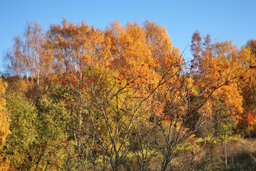Landscape near Cesky Krumlov. Czech republic