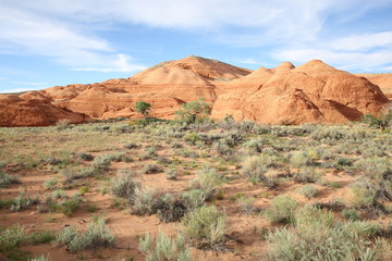 Scenery in Utah, USA