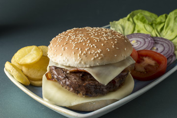 Hamburger Chianina