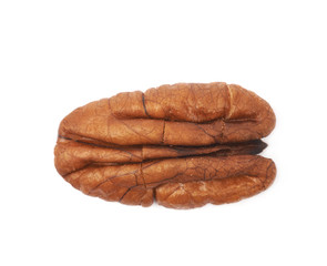 Single pecan nut isolated