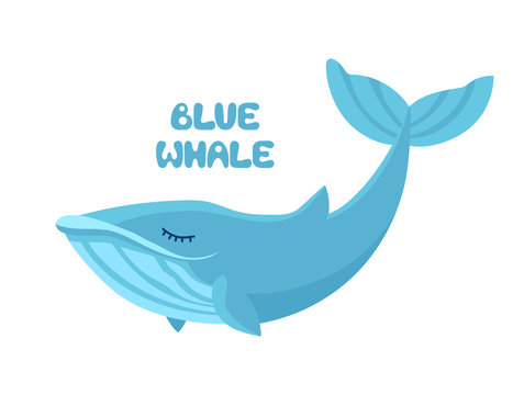 Vector cartoon cute blue whale isolated on white background