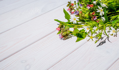 Весенние полевые цветы