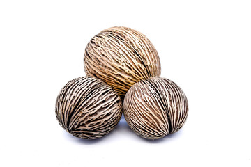 Collection of Alstonia scholaris seed on white background