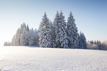 Naklejka premium Sunny winter landscape in the mountains