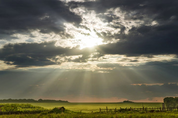 the bright sun lights a rural landscape