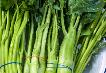 Obraz premium Morning glory and Chinese Kale wash in water
