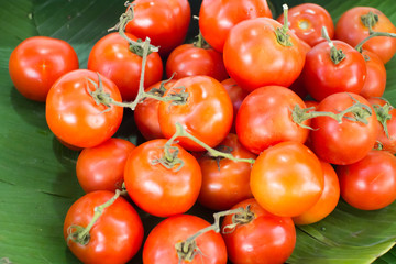 big red tomatos