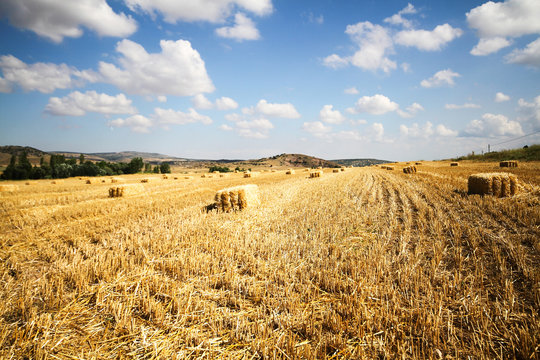 Bales of starw in a field against a blue sky