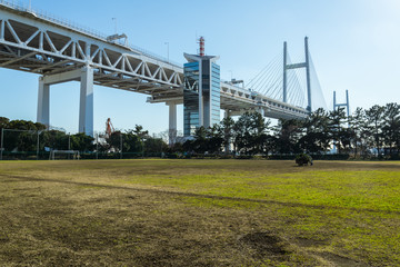 大黒ふ頭中央公園　横浜ベイブリッジ