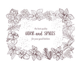 Herbs and spices label. Engraving illustrations for packaging.