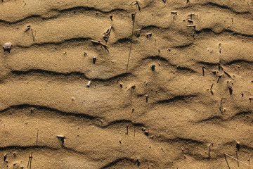 Beach Sand