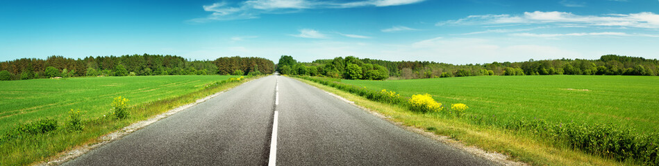 Fototapeta na wymiar asphalt road panorama in countryside on sunny spring day