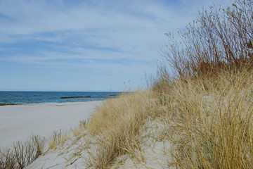 Fototapeta na wymiar sunny beach with sand dunes