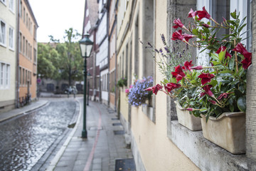 hanover street and flower pot