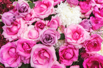 Pink and purple roses
