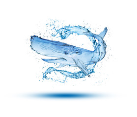 Obraz premium Whale water splash make from water isolate on white background.