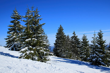 Winter on the Feldberg in the Black Forest