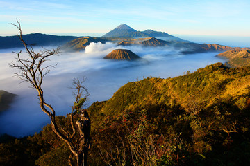 Mount Bromo -  an active volcano and part of the Tengger massif, in East Java, Indonesia during sunrise   © robnaw