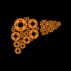 Vector illustration of human liver.