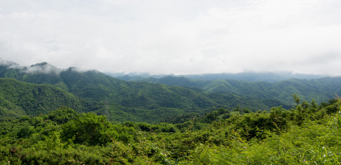 Mountain landscape view with the forest background