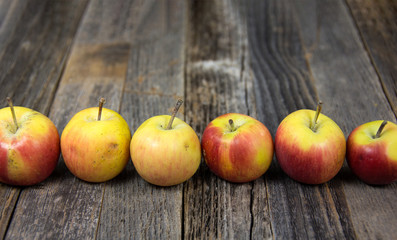 row of miniature organic apples on rustic wood