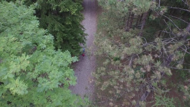 Fly on a mountain trail with the boys on a trip
Drone on the mountains in a mild winter