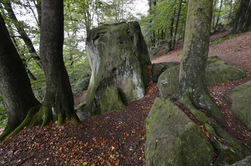 felsen im wald