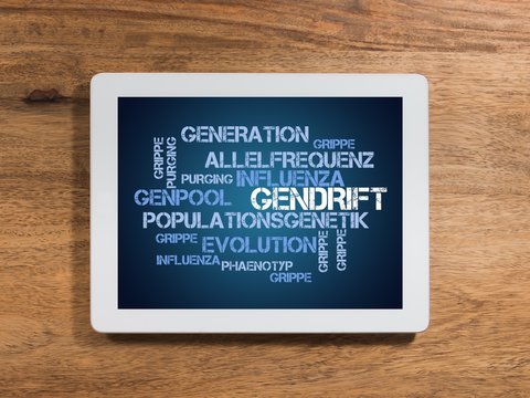 Gendrift